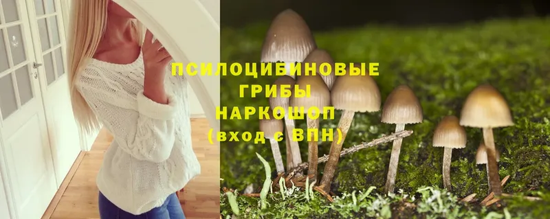 Галлюциногенные грибы MAGIC MUSHROOMS  Фролово 